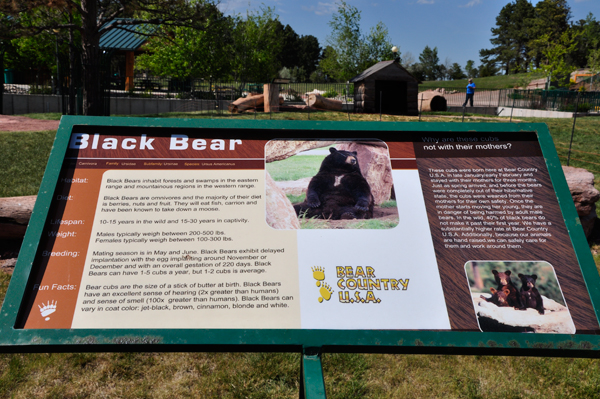 Black bear sign